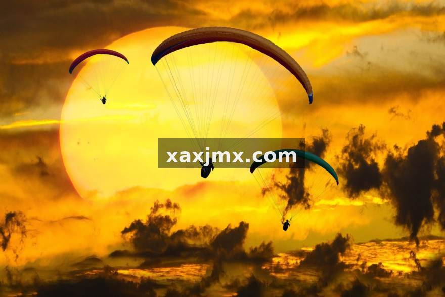 从仓库主管到数据看板设计者：一位物流运营人的三年数据应用转型故事